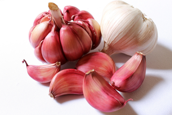 Garlic for health