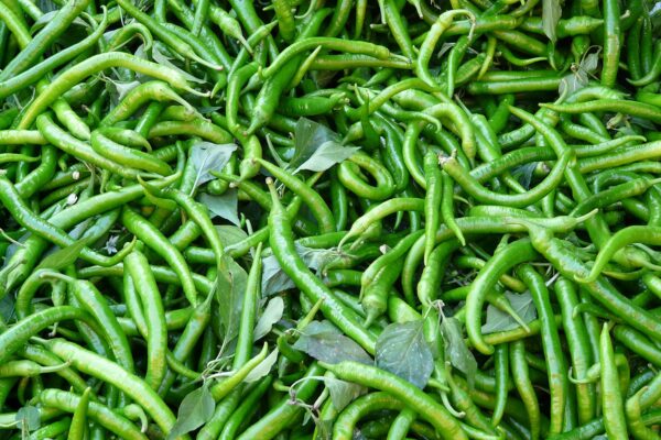 green chilli for health